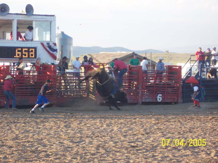 Picture 390