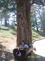Picture 364
