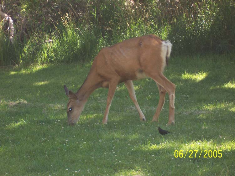 Picture 135