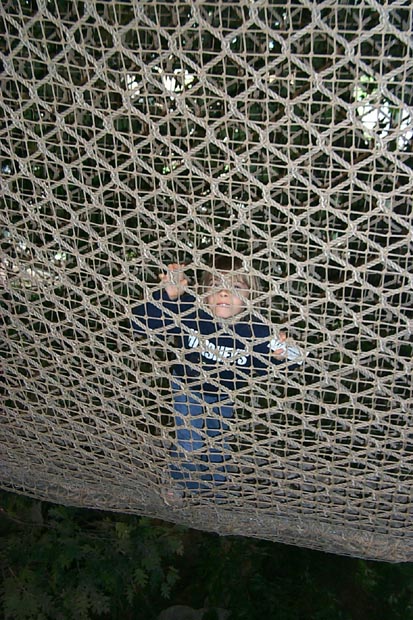 P0002803